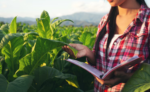Wisconsin Students Awarded Scholarships for Agriculture Studies 